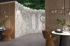 Cinca Lux