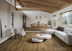 Paradyz Freeland
