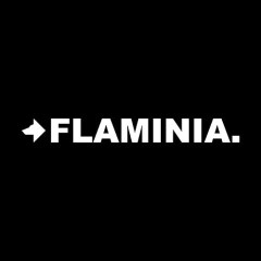 logo_flaminia