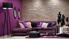 stegu_2025_262