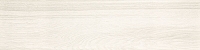 20190121_2.jpg
