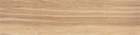 20190121_4.jpg