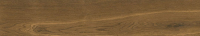 cerrad_20240119_403.jpg