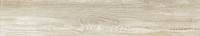 cerrad_20240119_411.jpg