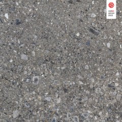 cerrad_20240119_78.jpg