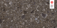 cerrad_20240119_87.jpg