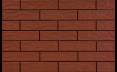 Cerrad falburkolat Cerrad Rot falburkolat 6,5 x 24,5 cm