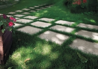 cottopetrus_outdoor4_11.jpg