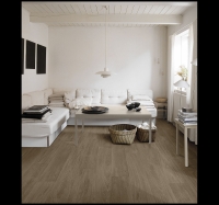 euro_parquet_3.jpg