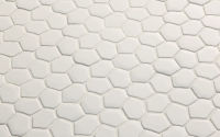 mutina_botanica_4.jpg