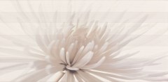 Opoczno dekorcsempe Opoczno Avangrde Inserto Flower dekorcsempe