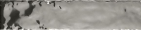paradyz_arcticstorm_09.jpg