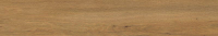 paradyz_trueland_01.jpg