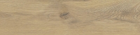 taigabei.jpg