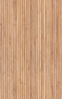 zala20191112_r_65.jpg
